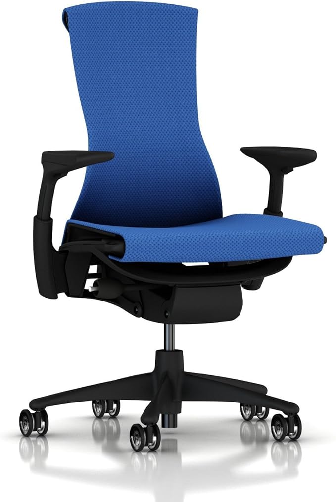 Herman Miller Embody Chair (Used)